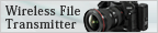 WFT-E2/E2A
