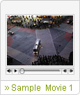 Sample Movie 1