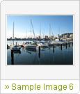 Sample Image 6