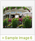 Sample Image 6
