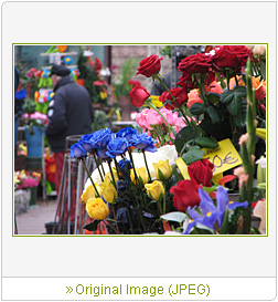 Sample Image 5