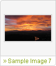 Sample Image 7