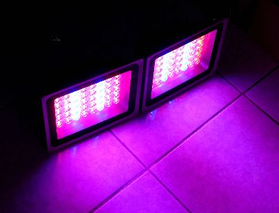 Uj ӪHIGH POWER LED Grow lightsK״ӪοO / ӪO(48LED) ~Ӥ