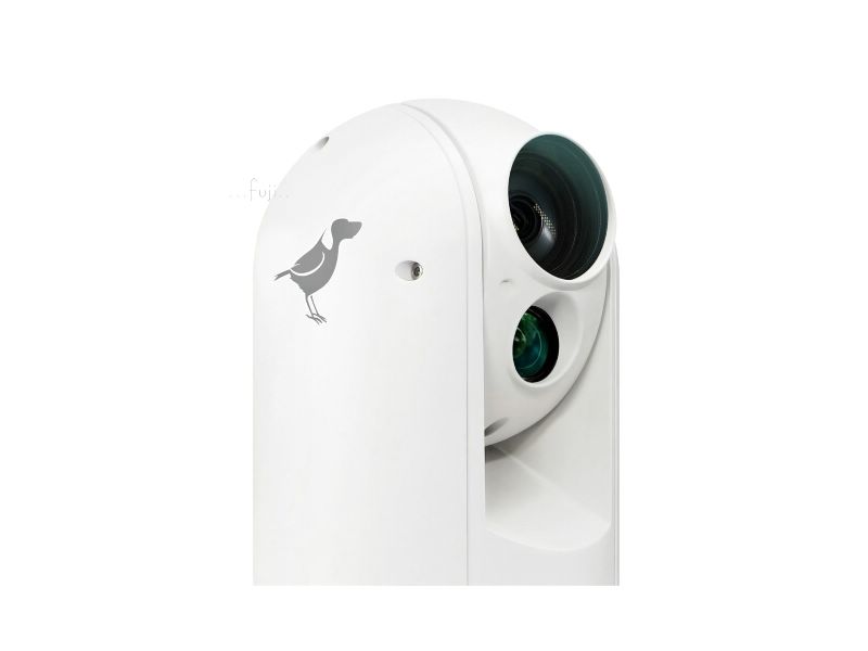 Uj BirdDogA300 Gen2 30x NDI PTZ~v ~Ӥ